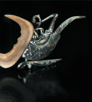 Sea Creatures