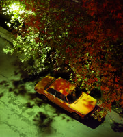 Bright Nights